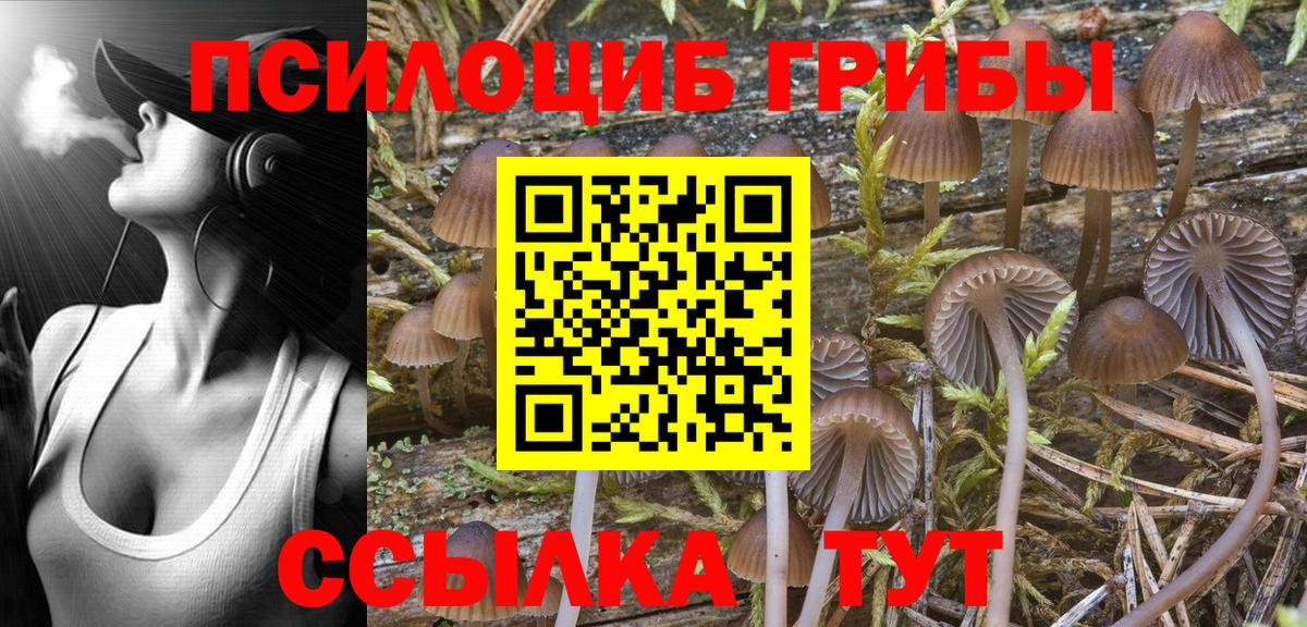 Галлюциногенные грибы Psilocybine cubensis  Вход с VPN  Тара 