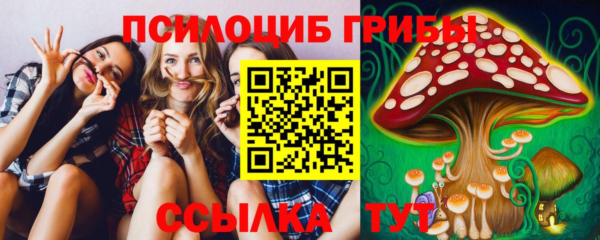 Псилоцибиновые грибы GOLDEN TEACHER Тара
