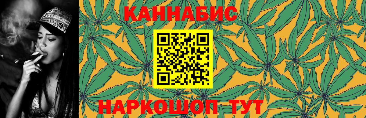 Тара  Марихуана план  Вход с VPN  МАРИХУАНА VHQ  Бошки Шишки конопля 